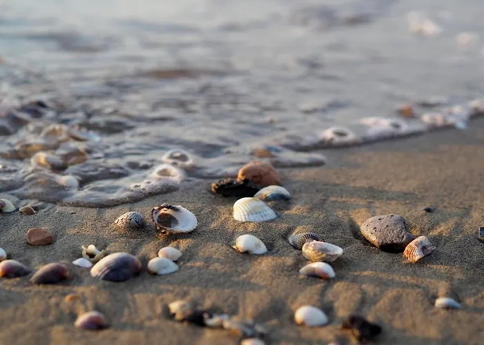 Stunning Only 100m From The Lejlighed Bibione